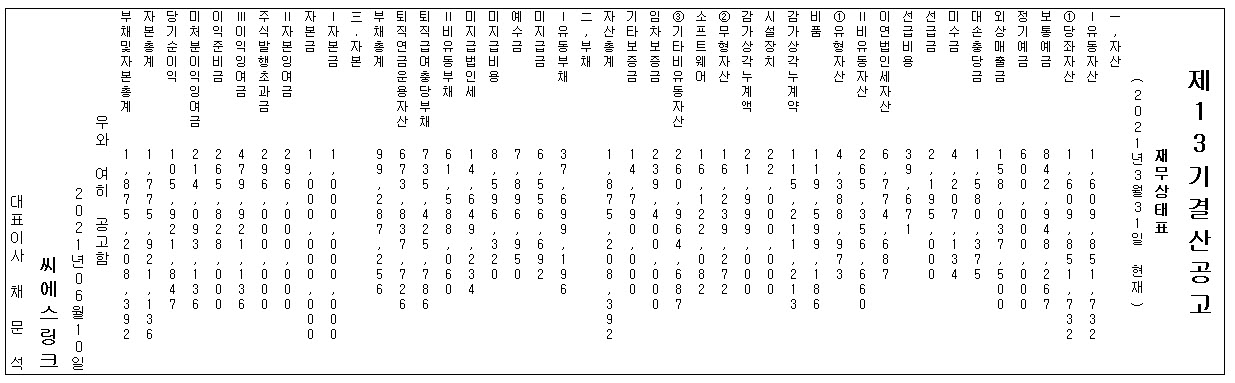 제13기 결산공고